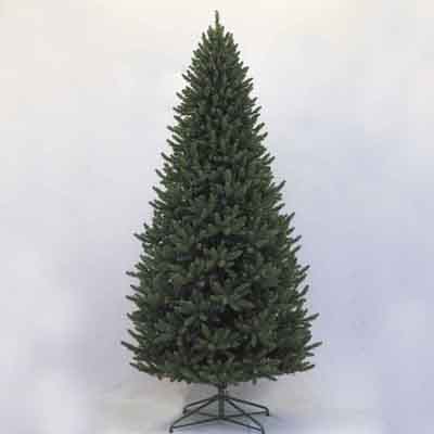 Belmont cedar 9' tree