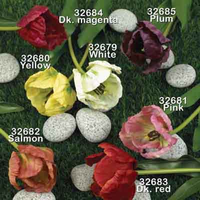 Parrot Tulip