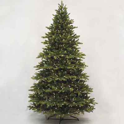 Scottsdale 7' tree