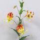 Gloriosa 34 inches # Dark Red