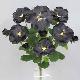 Pansy bush 14 inches # Black Satin
