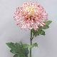 Plastic Single Fuji Mum 26 inches # Magenta