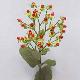 Hypericum 25 inches # Red