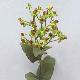 Hypericum 25 inches # Burgundy