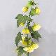 Abutilon 27 inches # Yellow