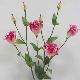 Lisianthus 31 inches # Pink