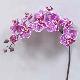 Super Orchid x9 41 inches # Net. Purple