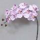 Super Orchid x9 41 inches # Lavender