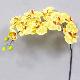 Super Orchid x9 41 inches # Yellow/Orange