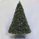 Berrywood fir 8' tree