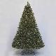 Berrywood Fir 8' ltd tree