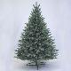 Sherwood Blue Spruce 5' Tree