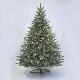 Sherwood Blue Spruce 5' Ltd Tree