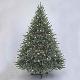 Sherwood Blue Spruce 6' Ltd Tree