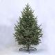 Carolina Frasier Fir 4' Tree