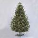 Carolina Frasier Fir 7' Ltd Tree