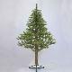 Mount Avery Pine 6' Unlit Tree