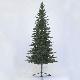 Rocky Mt Pine 7.5' Tree