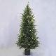 Cedar Full 5' Ltd Topiary Tree w/Pot