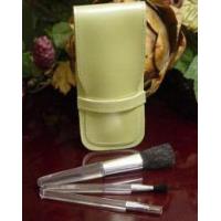 Cosmetic Brush