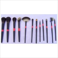 Professional Cosmetic Brush