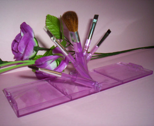 Cosmetic Brush