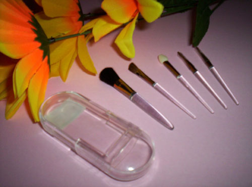 Cosmetic Brush