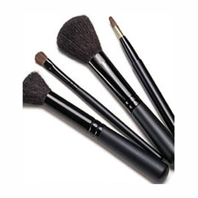 Cosmetic Brush