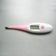 Digital Thermometer