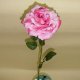 Sell Flower Spray