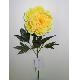 Flower Spray