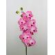 Flower Spray, NU770A