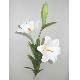 Flower Spray, NU5592