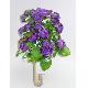 Flower Bush, NU735