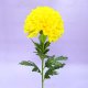 Flower Spray