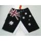 Boardshorts