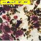 Silk Satin Print - Www.silk.com.hk, 14101 - S626