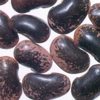 Large Dark Kidney Beans