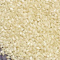 Sesameseed