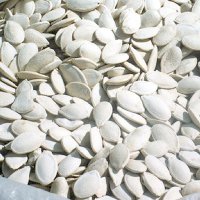 Snow White Pumpkin Seeds