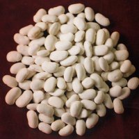 Medium White Kidney Bean