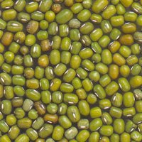 Green Mung Beans