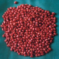 Small Red Beans
