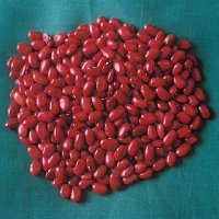 Small Red Kidney Beans