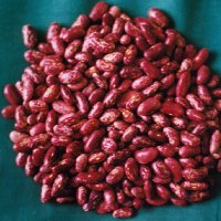 Red Speckled Kidney Beans