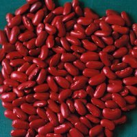 England Red Kidney BeansDark Kidney Beans