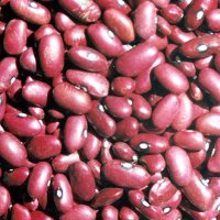 Japanese Red Kidney Beans