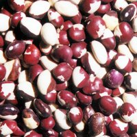 Panda Beans (Panda's Eye Beans)