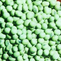 Green Beans with Green Kernels