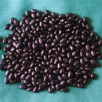 Black Kidney Beans